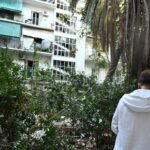 σοκαριστικές εικόνες, Αμπελόκηποι