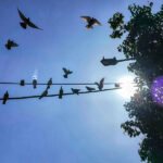 Καιρός: Πρώτο Σαββατοκύριακο Νοεμβρίου με ήλιο και καλές θερμοκρασίες