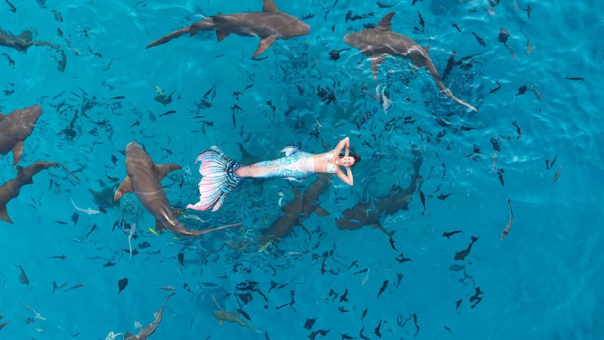 Θεσσαλονικιά