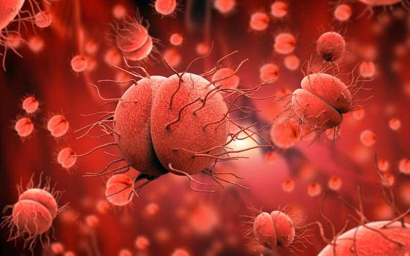 Μηνιγγίτιδα: Το ύπουλο βακτήριο που σκοτώνει