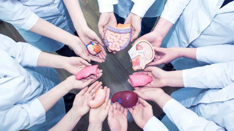 Ανθρώπινα ζόμπι για μεταμοσχεύσεις