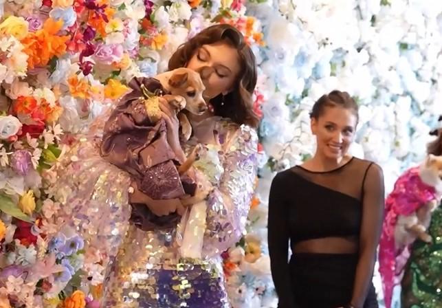 Από το Met Gala στο Pet Gala: Μια νέα παράδοση γεννιέται στη Νέα Υόρκη