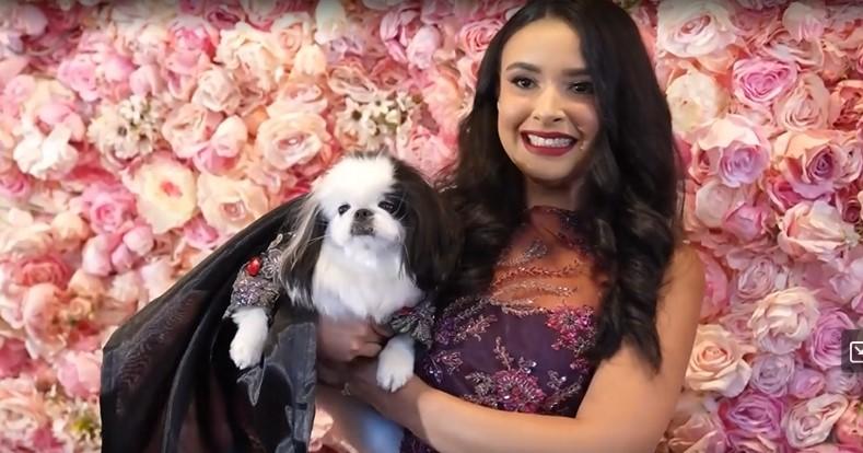 Από το Met Gala στο Pet Gala: Μια νέα παράδοση γεννιέται στη Νέα Υόρκη