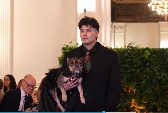 Από το Met Gala στο Pet Gala: Μια νέα παράδοση γεννιέται στη Νέα Υόρκη