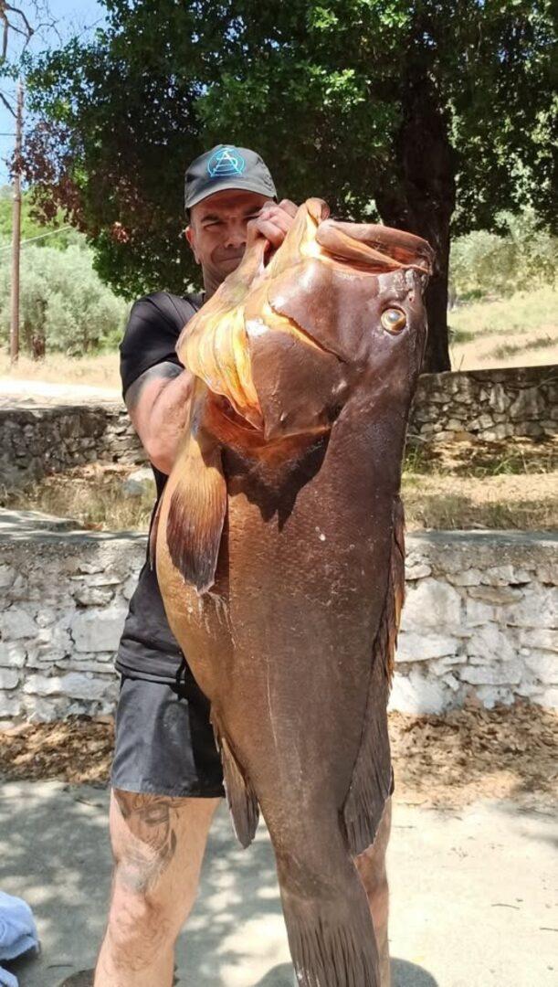 Βόλος