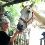 Μπριζίτ Μπαρντό: Το απόρθητο κάστρο της «Μπεμπέ»