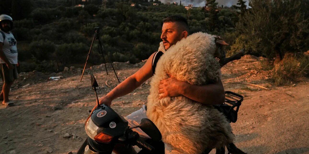 τρελάκιας
