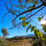 Καιρός: Παρέλαση με συνθήκες… άνοιξης  