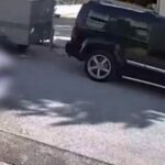 Λαμία: Έκλεψαν… πόνυ στη μέση του δρόμου