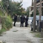 Τρίκαλα:«Το είχα σκεφτεί από παλιά» είπε ο 18χρονος μητροκτόνος