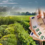 Πότε θα πληρωθούν οι επιδοτήσεις στους αγρότες