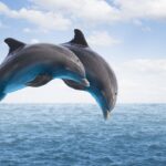 Βραζιλία: Θανατηφόρα «τζακούζι» – Η κλιματική αλλαγή σκοτώνει