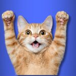 Αυτοκαθοριζομένη τουαλέτα γάτας: Η τάση που σου λύνει τα χέρια – Πού μπορείς να βρεις με κάτω από 200€;