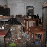 Δονούσα: Πρόστιμο-σοκ σε 63χρονο, κακοποιούσε 58 γάτες!