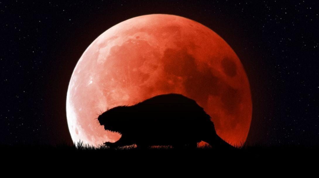 Υπερπανσέληνος Νοεμβρίου: Φέρνει φως, έμπνευση και νέες ευκαιρίες για κάθε ζώδιο