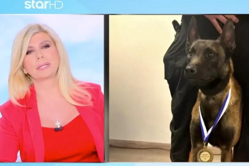 Σοκ και οργή: Η δολοφονία του Echo και το ξέσπασμα της Κουτσελίνη