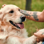 Το σωστό χάδι για τον σκύλο σας