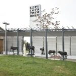 Δείτε από κοντά ζώα & πουλιά στη «Φάρμα» της Εθνικής Γλυπτοθήκης