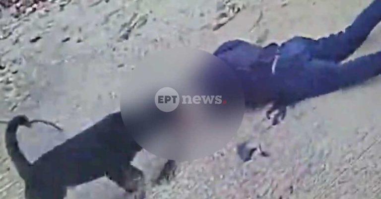 Καλαμάτα: Ροτβάιλερ επιτέθηκε άγρια στον 76χρονο ιδιοκτήτη του