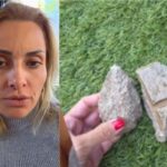 Βασιλική Μιλλούση-Λευτέρης Πετρούνιας: Πέταξαν πέτρες στο σπίτι τους!