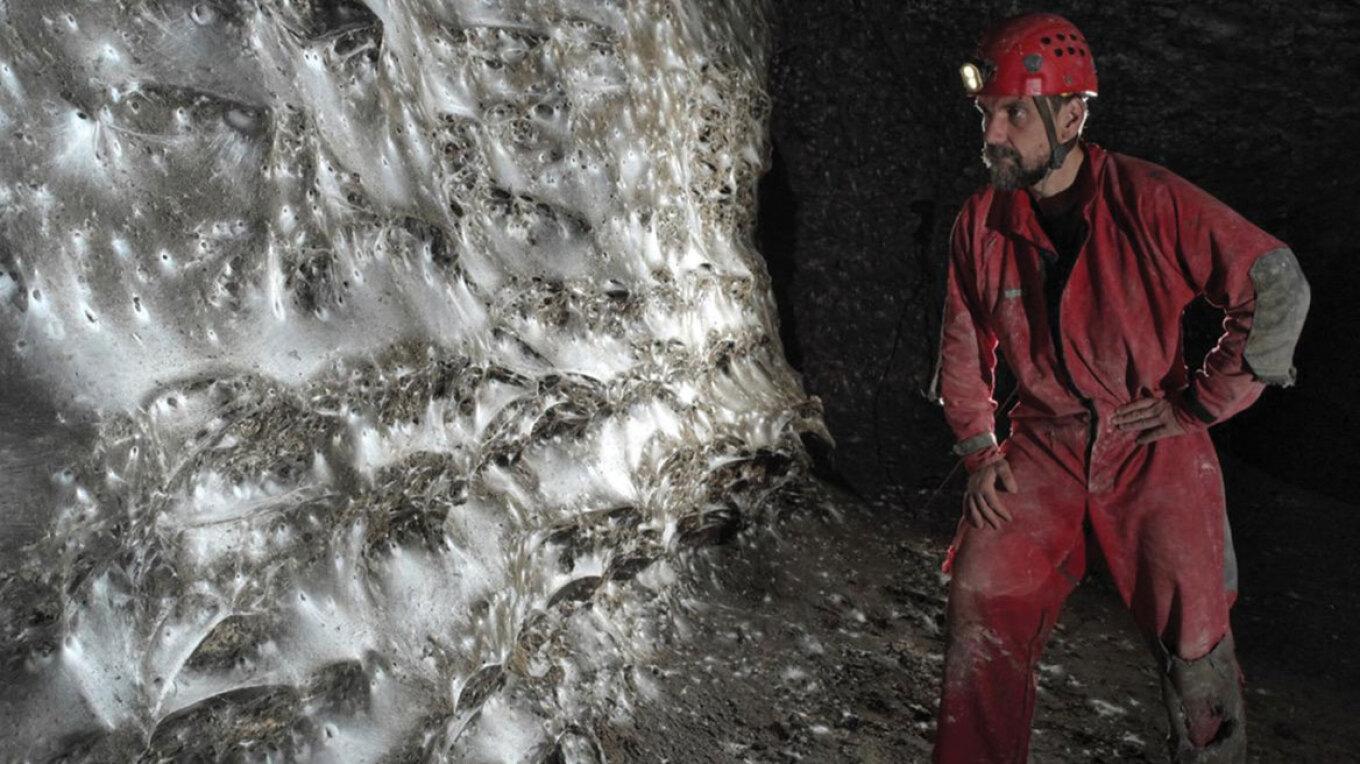 Ο μεγαλύτερος ιστός αράχνης στον κόσμο βρίσκεται στα σύνορα Ελλάδας – Αλβανίας