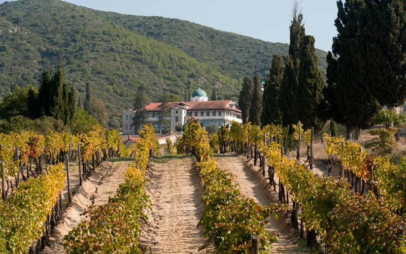 Στέρεψε η… κάνουλα της οινοποιίας Τσάνταλη