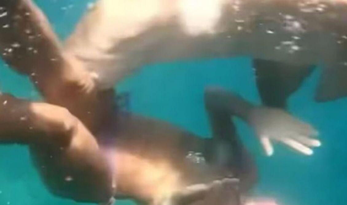 Βίντεο που σοκάρει! Καρχαρίας επιτίθεται σε γυναίκα που έκανε κατάδυση