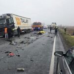 Επτά νεαροί οπαδοί του ΠΑΟΚ έχασαν τη ζωή τους σε τροχαίο στη Ρουμανία