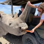 Φίλιππος Ντε Γκρες – Νίνα Φλορ: Ταξίδι ζωής στην Αφρική μέσα από σπάνιες φωτογραφίες