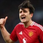 Χάρι Μαγκουάιρ: Ποινή φυλάκισης 15 μηνών για τη συμπλοκή στη Μύκονο